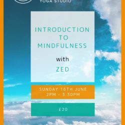 Zest Yoga Studio