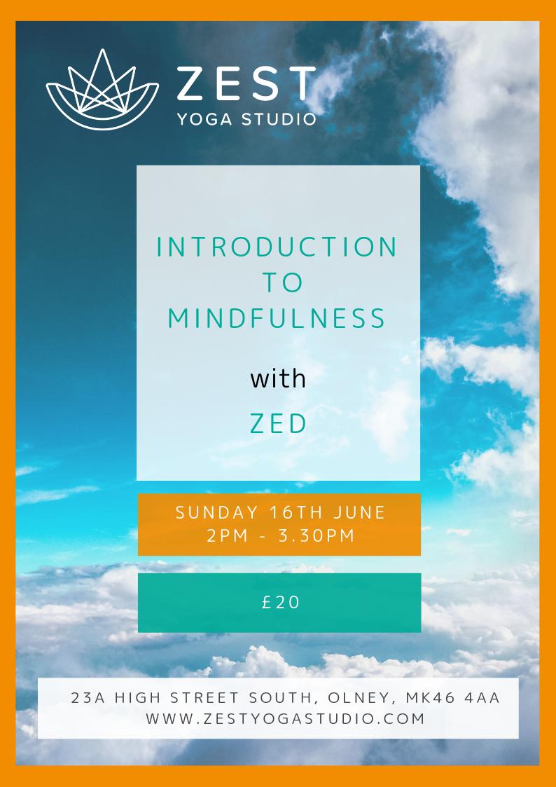 Zest_Yoga_Studio Zest_Yoga_Studio