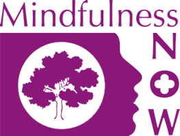 cropped-mindfulness-now-logo cropped-mindfulness-now-logo
